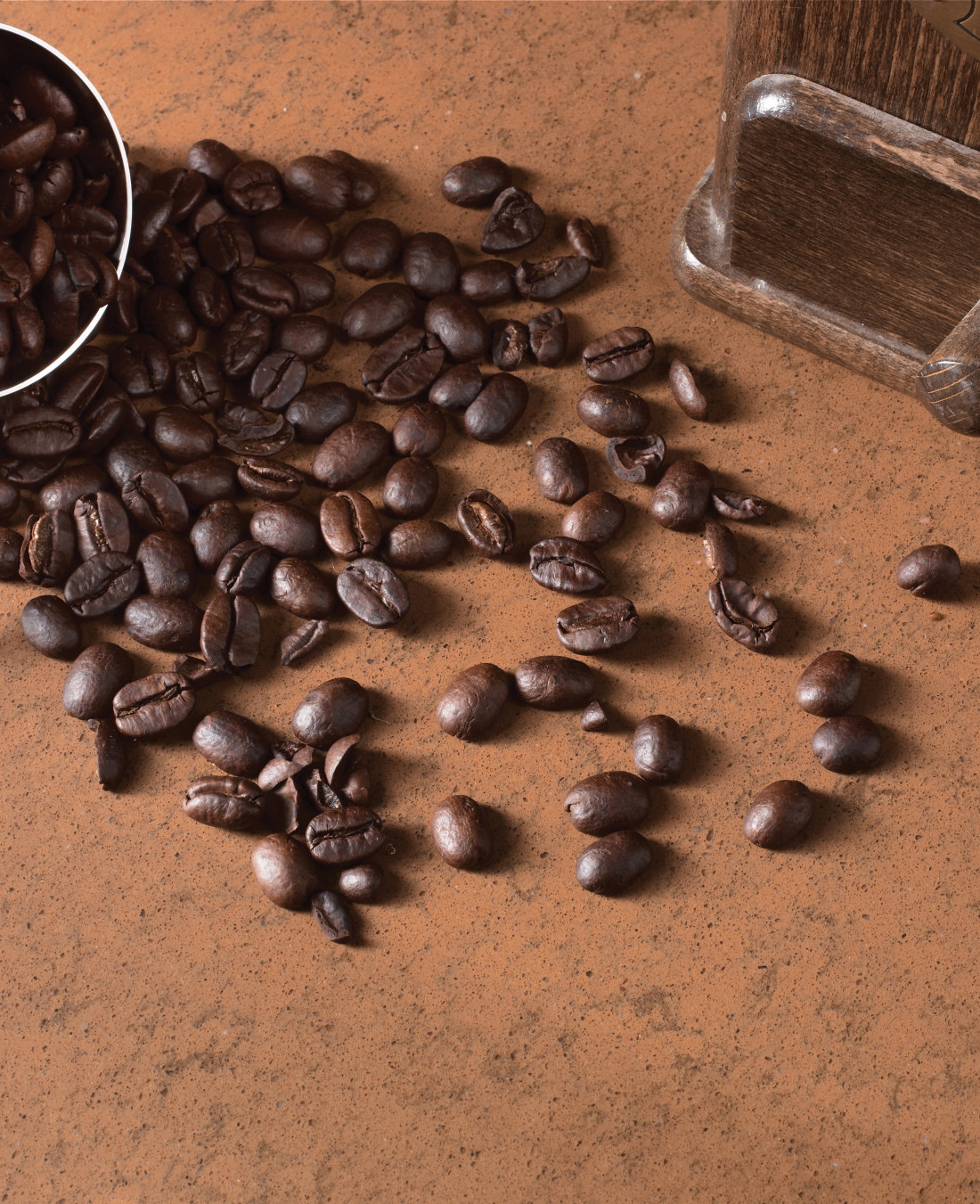 Santa Fe Brown 2 – detail.tif